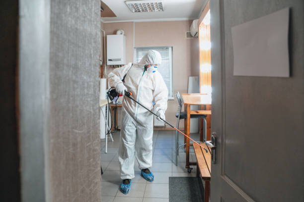 Best Mold Remediation for Healthcare Facilities  in Foster Brook, PA